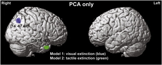 Supplementary Fig. 3