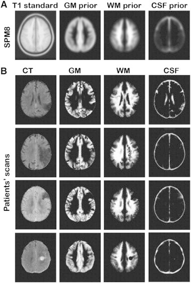 Supplementary Fig. 1