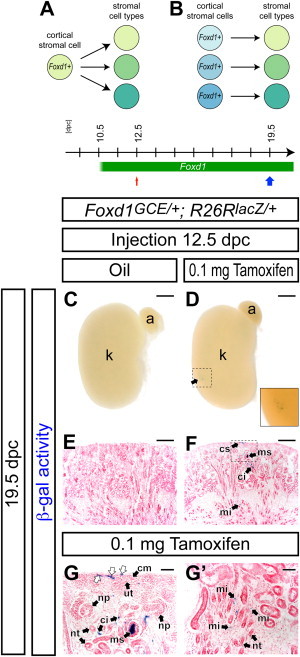 Figure 6