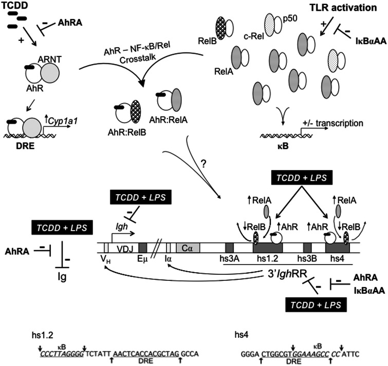 FIG. 10.