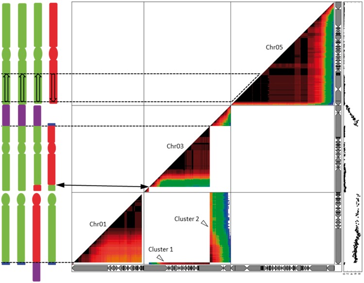 Fig. 3.