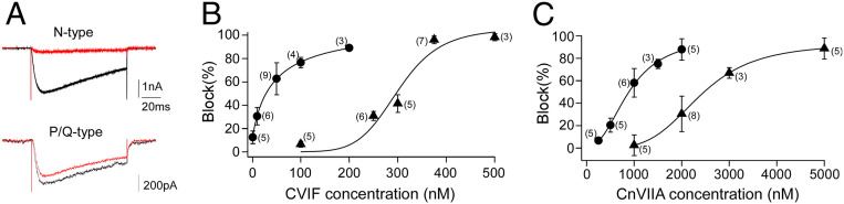 Fig. 6.