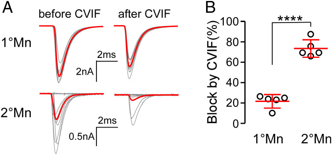 Fig. 7.