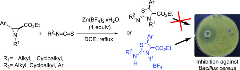 graphic file with name ao3c03531_0010.jpg