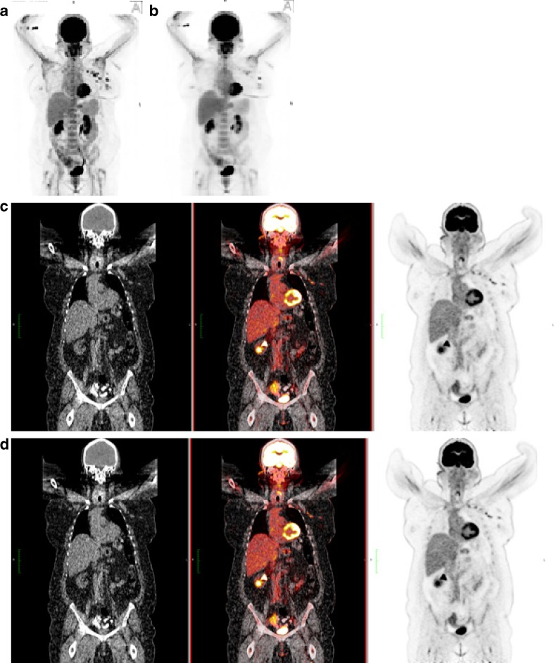 Fig. 1