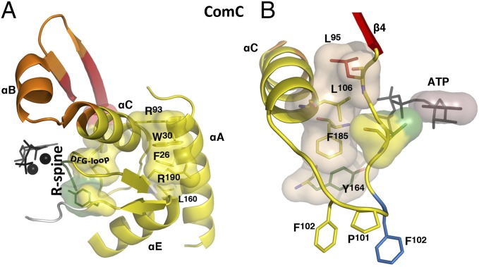 Fig. 5.