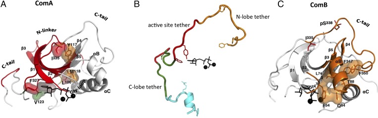 Fig. 4.