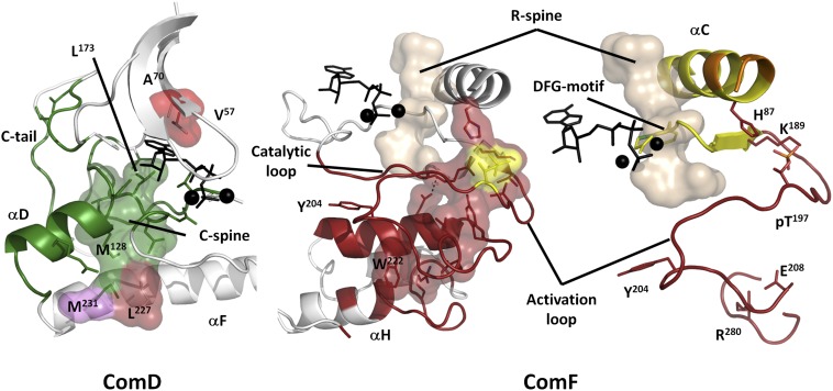 Fig. 6.