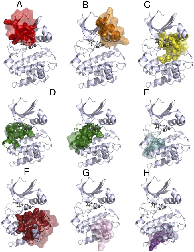 Fig. 8.