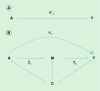 <b>Figure 1.</b>