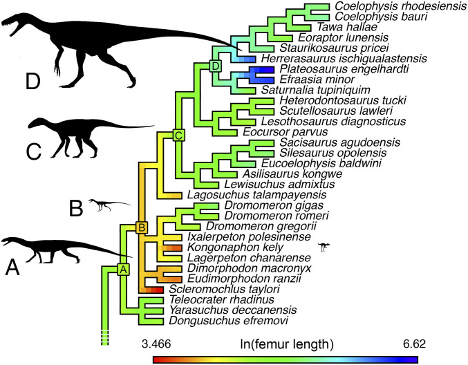 Fig. 2.