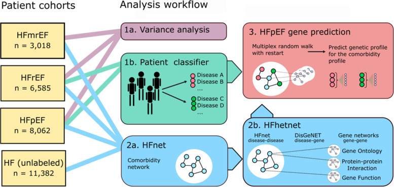 graphic file with name 12916_2023_2922_Figa_HTML.jpg