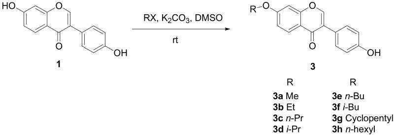 Scheme 2