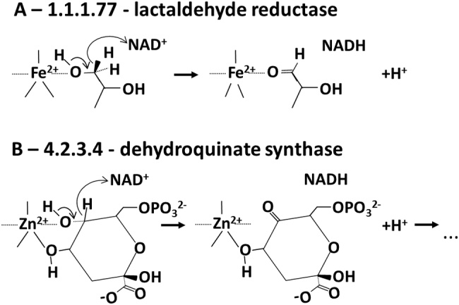 Fig. 7