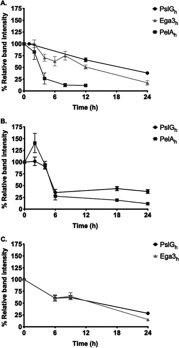 FIG 3