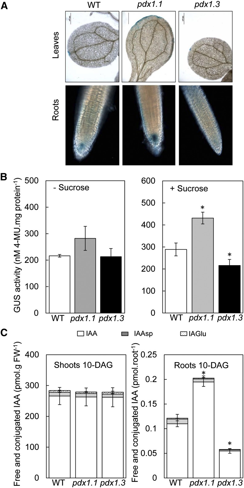 Figure 3.