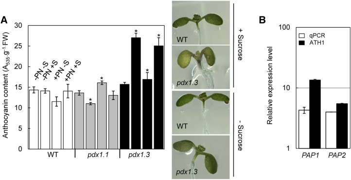 Figure 7.