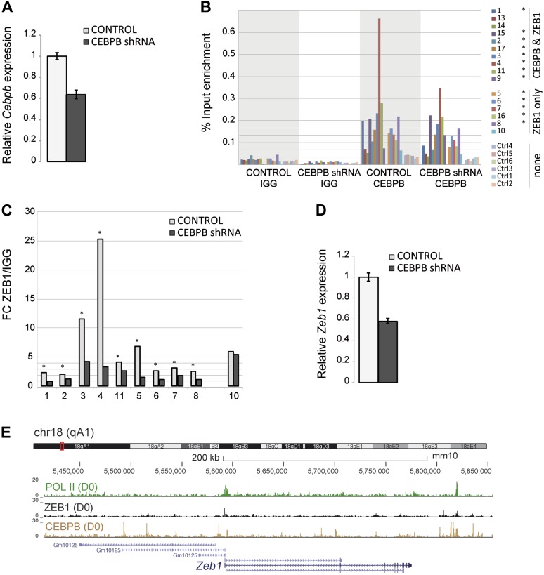 Figure 3—figure supplement 2.