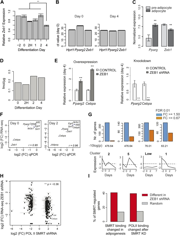 Figure 2—figure supplement 1.