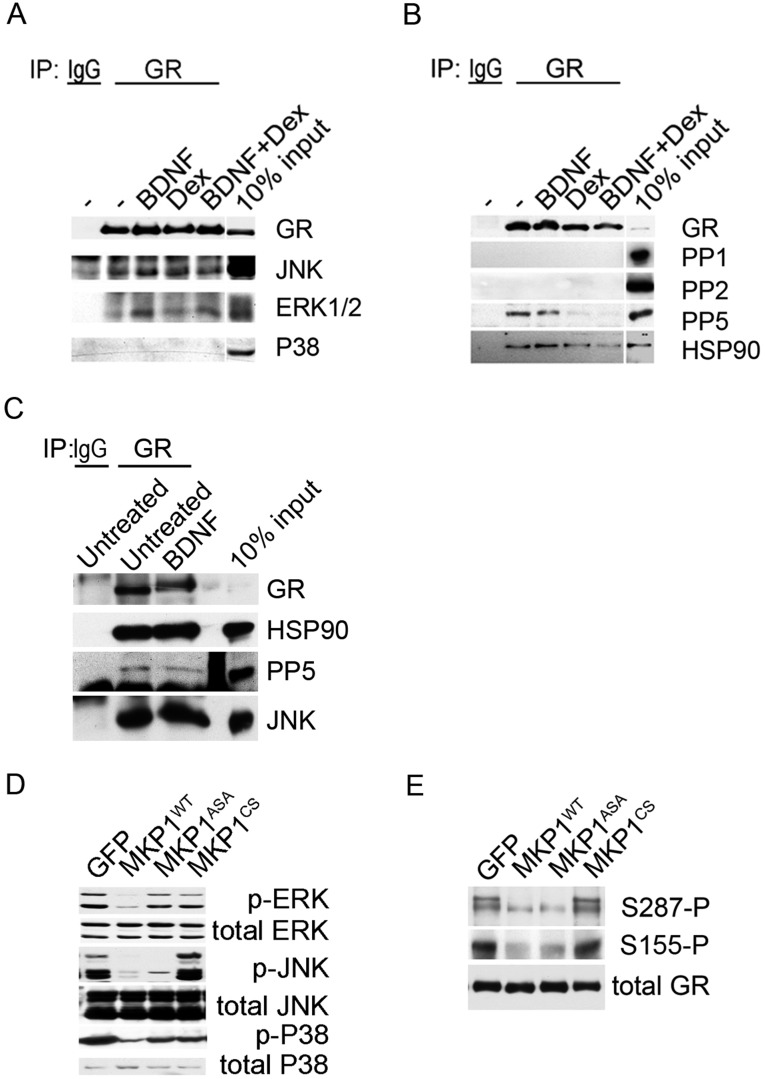 Fig. S6.