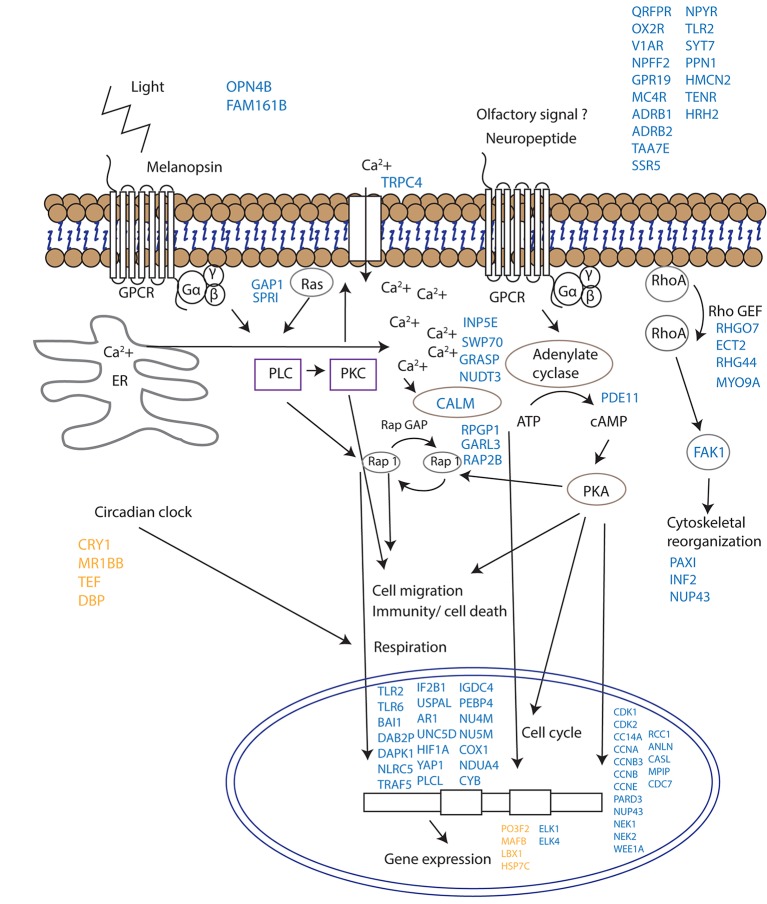 Figure 4.