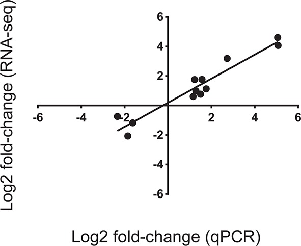 Figure 2—figure supplement 2.