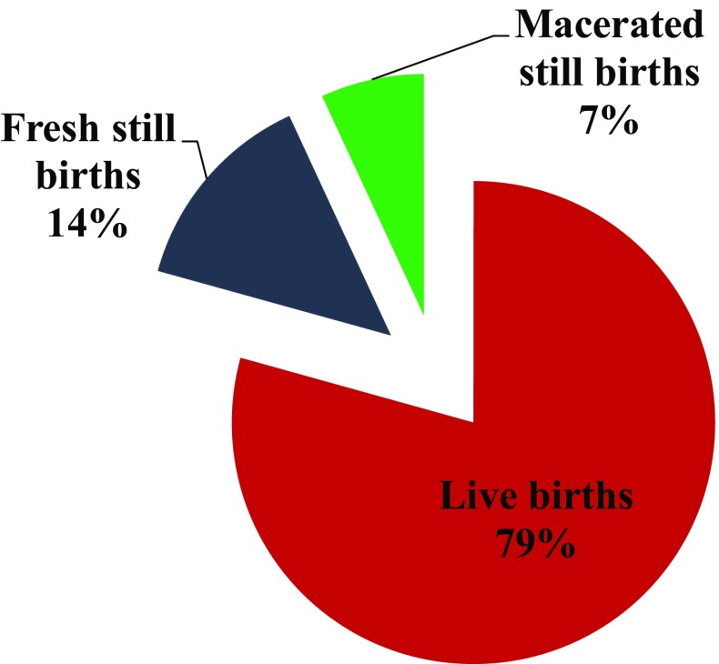 Fig. 4