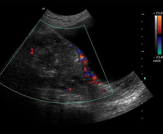 Fig. 2