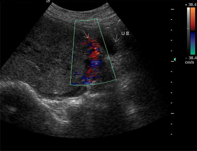 Fig. 1