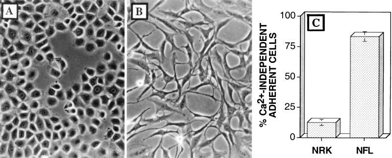 FIG. 8