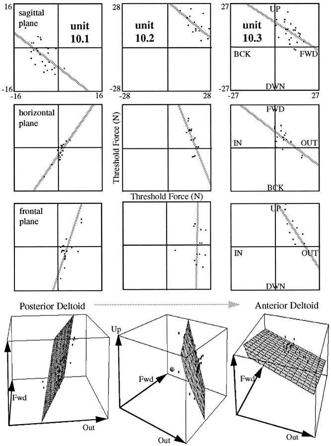 Fig. 10.