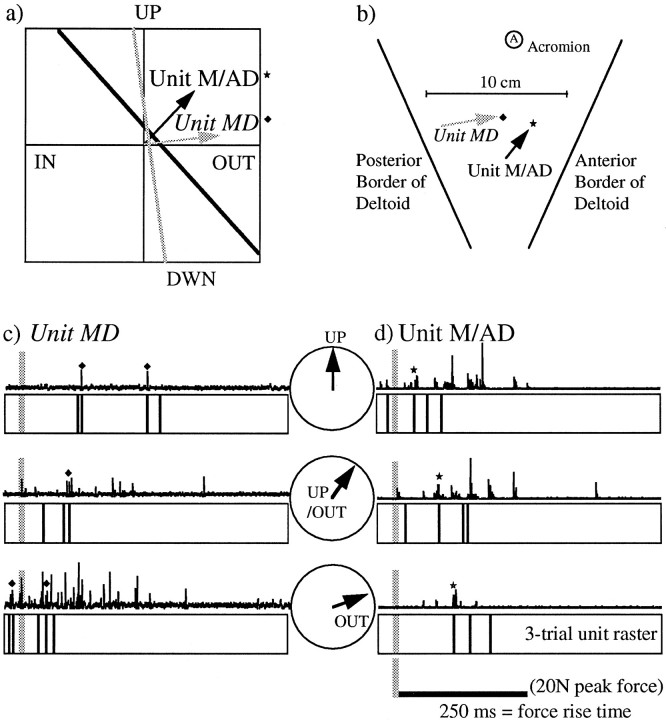 Fig. 13.