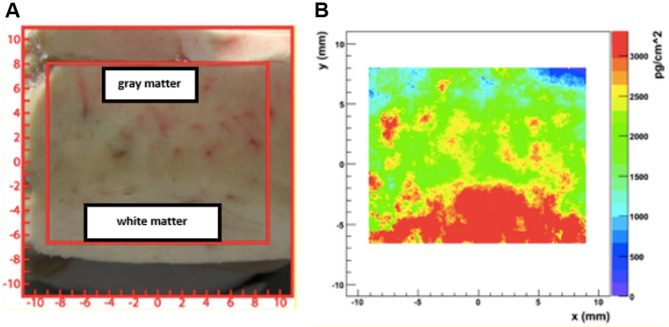 Figure 10