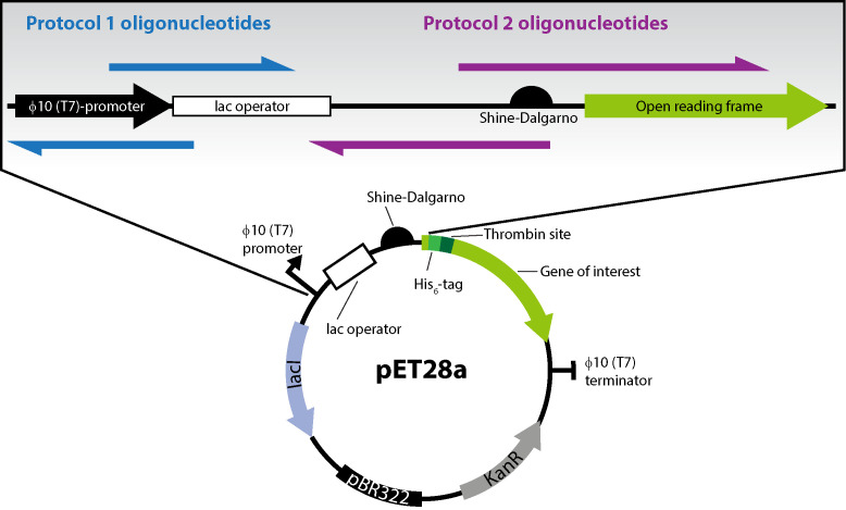 Figure 2.