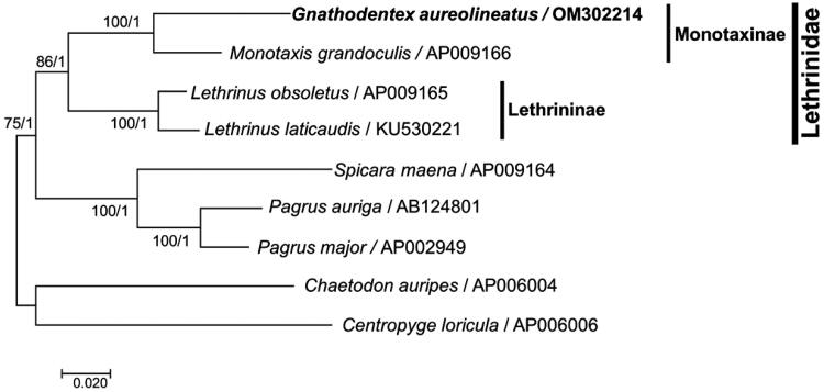 Figure 3.