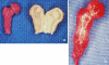 Fig. 2