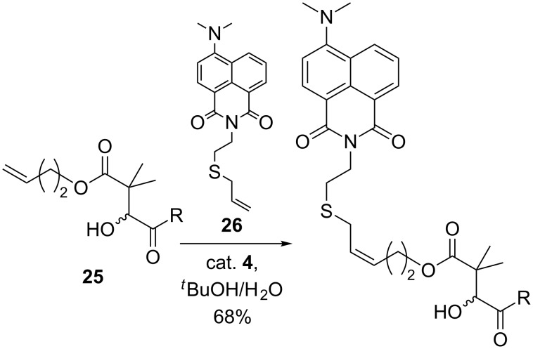 Scheme 10