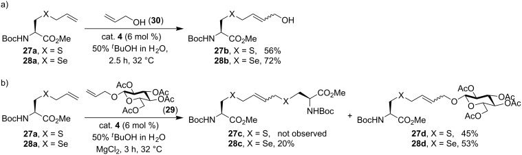 Scheme 11