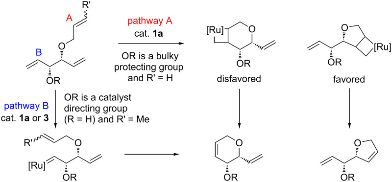 Scheme 2