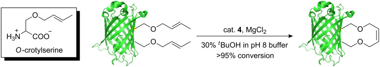 Scheme 12