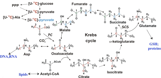 FIG. 7.