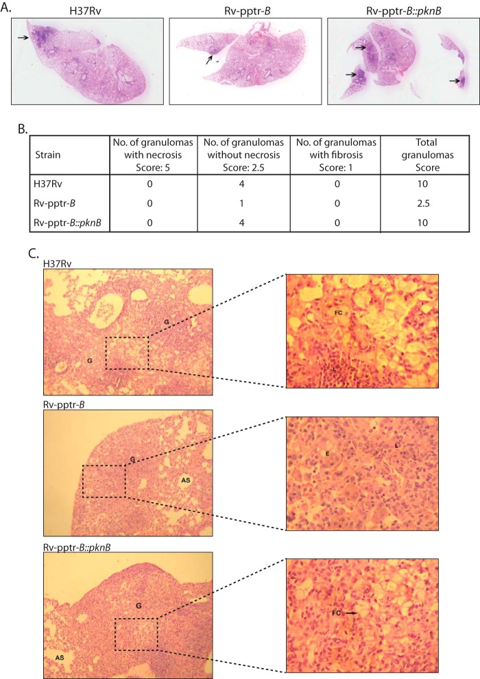 FIGURE 9.