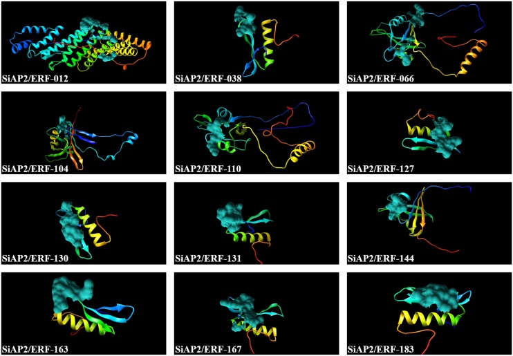 Figure 10