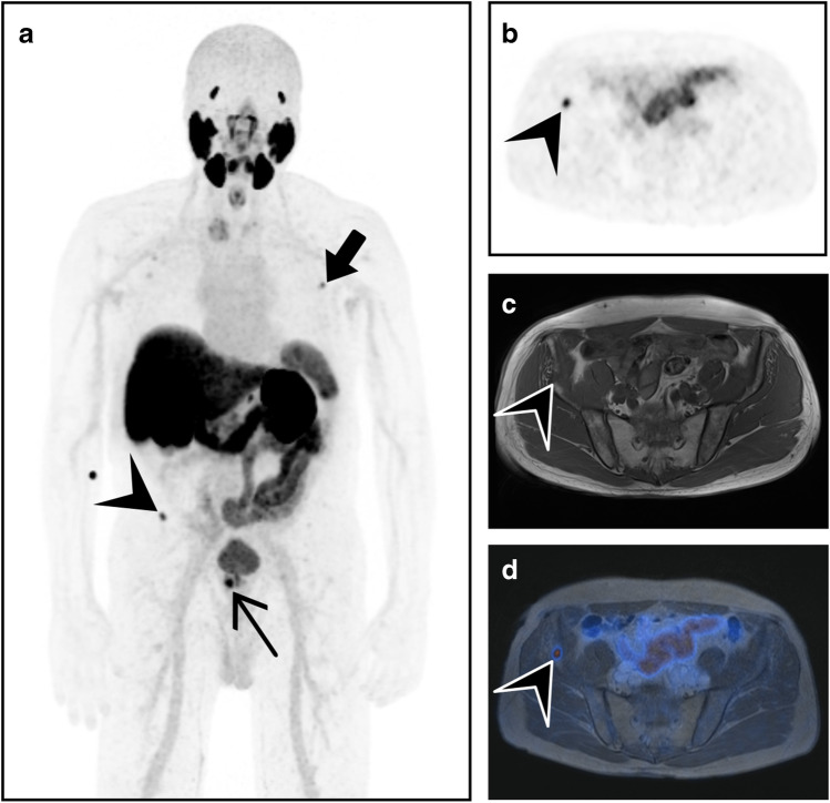 Fig. 8