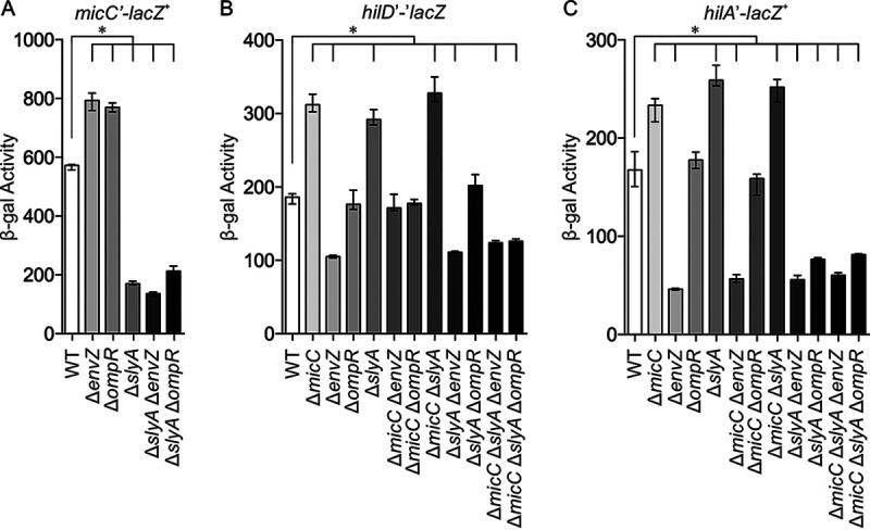 The Small RNA MicC Downregulates hilD Translation To Control the ...