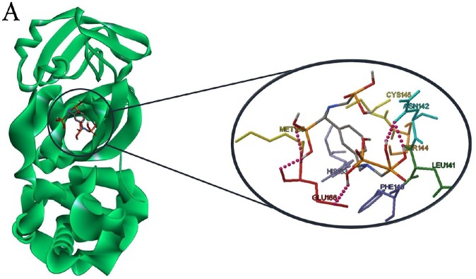 Fig. 3