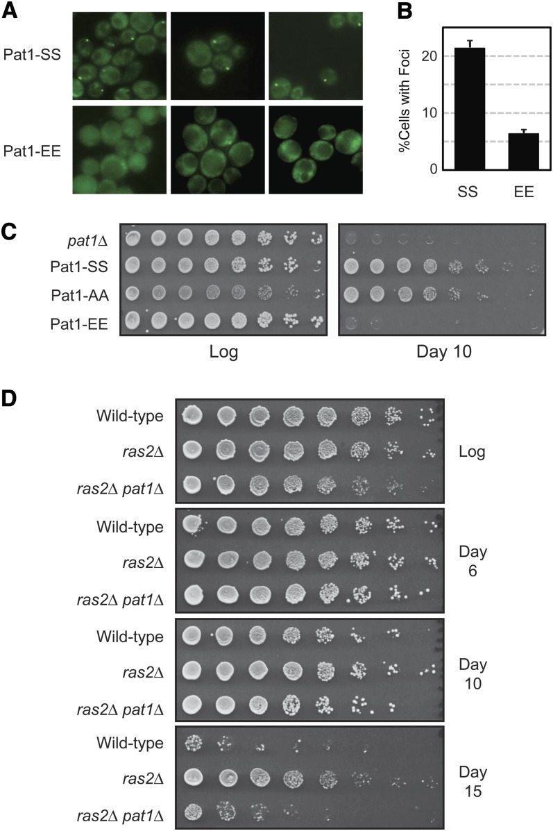 Figure 6 