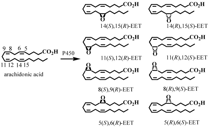 Figure 8