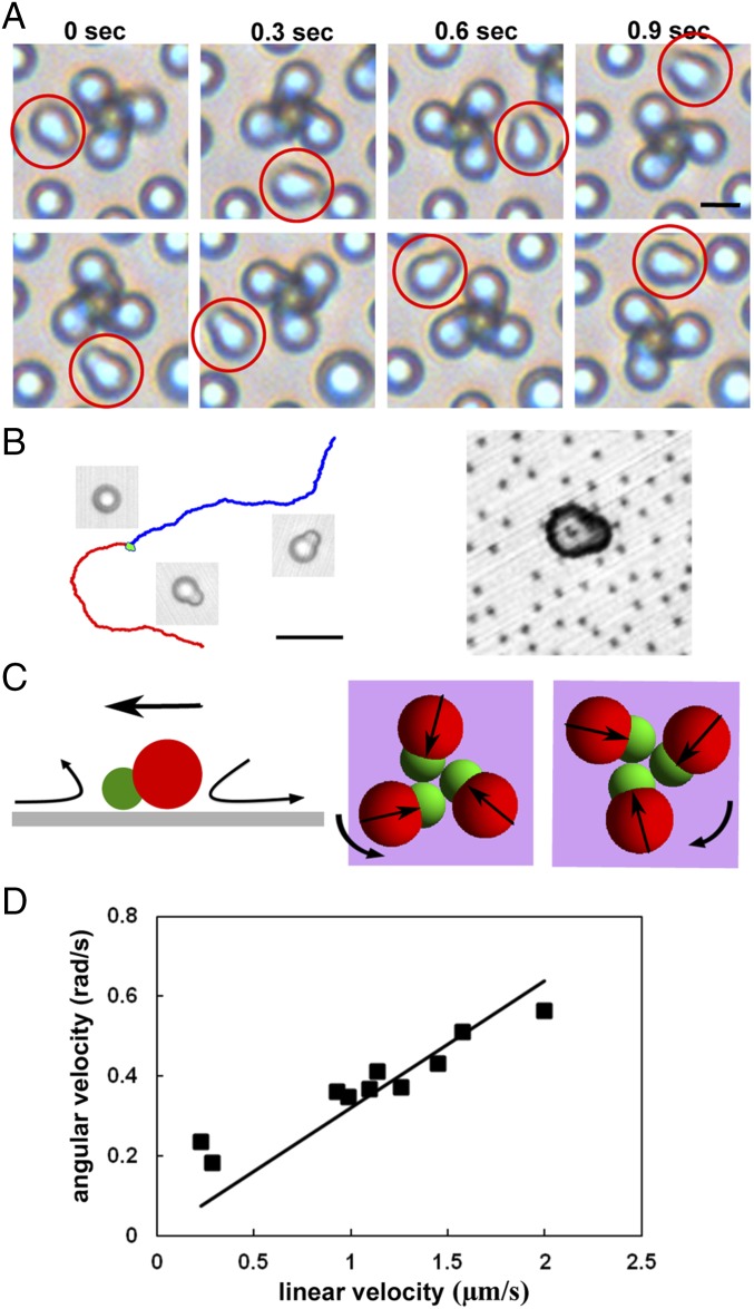 Fig. 4.