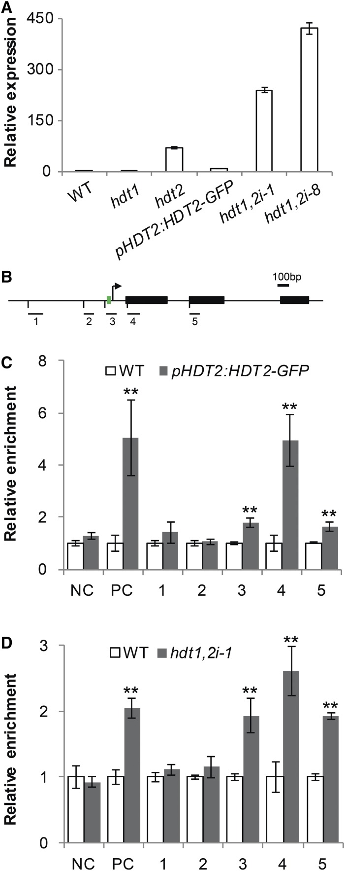 Figure 5.